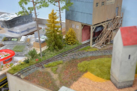 Feldweg und Gel�nde