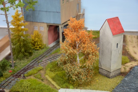 Feldweg und Gel�nde