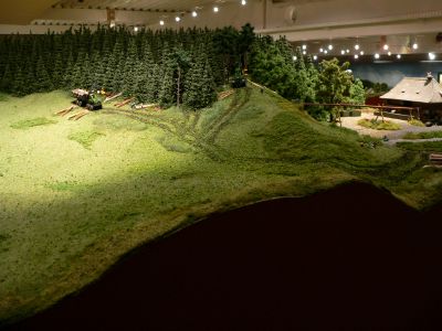 Schwarzwald-Modell-Bahn Hausach