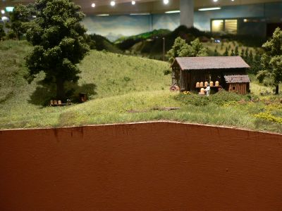 Schwarzwald-Modell-Bahn Hausach