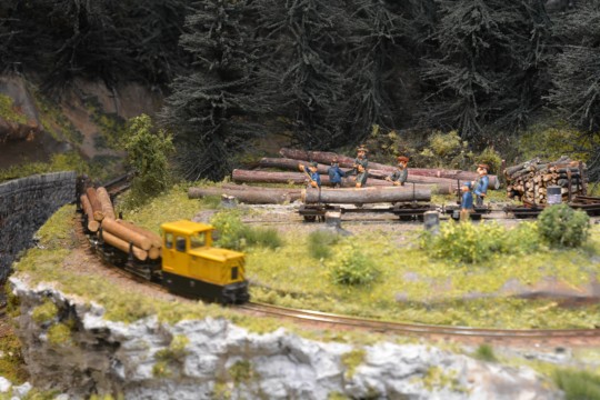 La Scierie de la M�relle, 009