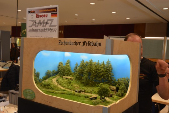 Zechenbacher Feldbahn, H0f