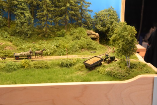 Zechenbacher Feldbahn, H0f