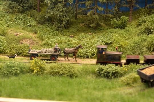 Zechenbacher Feldbahn, H0f