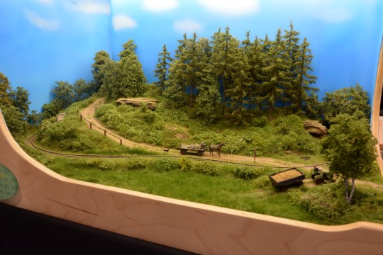 Zechenbacher Feldbahn, H0f