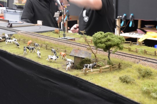 Auf der Nebenbahn, 0