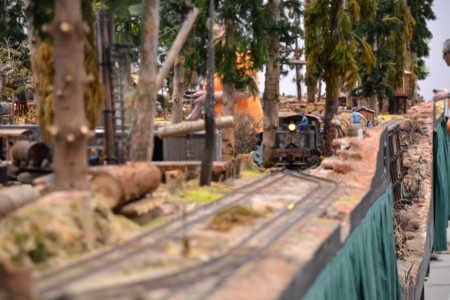 WSL Co. Logging Railway, 1:20,3