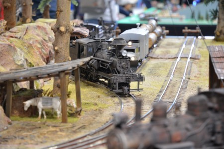 WSL Co. Logging Railway, 1:20,3