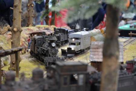 WSL Co. Logging Railway, 1:20,3