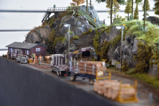 Lerchentaler Waldbahn, H0f