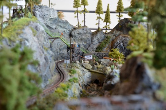 Lerchentaler Waldbahn, H0f