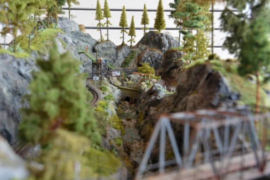 Lerchentaler Waldbahn, H0f