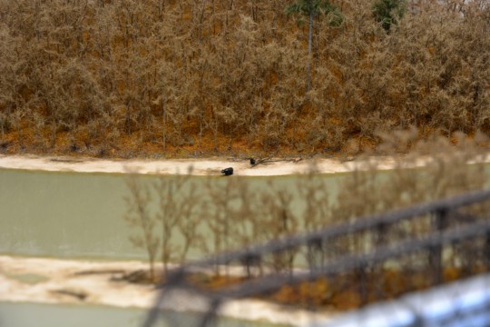 Southern River Crossing, Z
