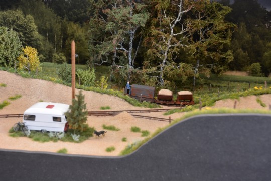 Sandgrube Mooswil, 0f