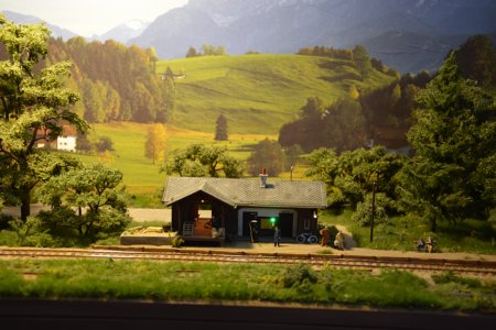 Brwurz am Wald, H0pur