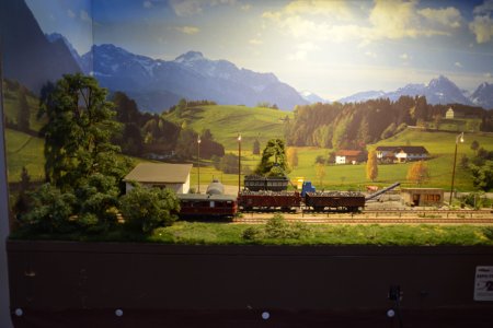 Brwurz am Wald, H0pur