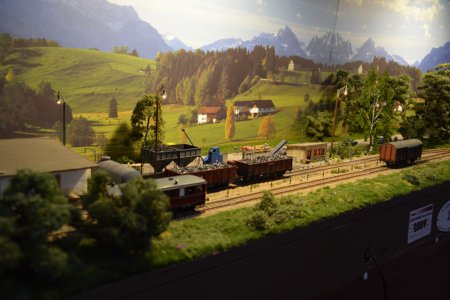 Brwurz am Wald, H0pur