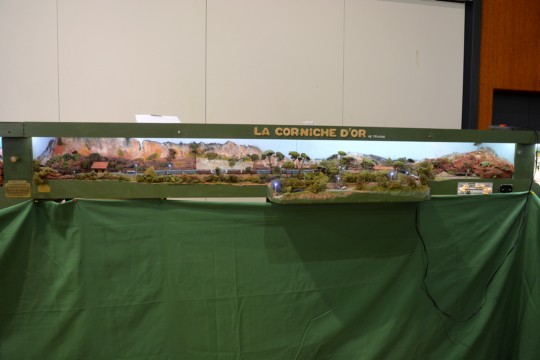 Association Francaise des Amis du N