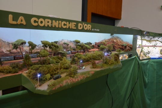 Association Francaise des Amis du N