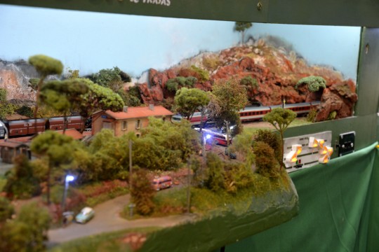 Association Francaise des Amis du N