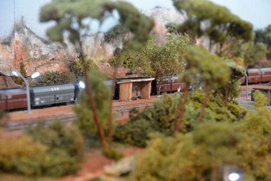 Association Francaise des Amis du N